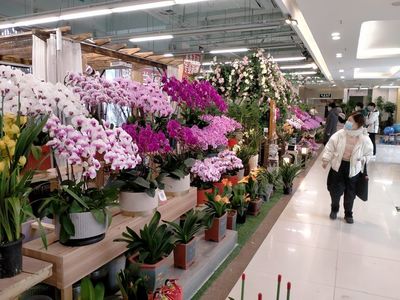 春节临近,郑州花卉市场年味儿浓
