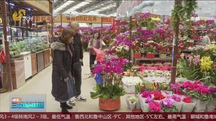 【喜迎新春佳节】花卉市场销售旺 五彩斑斓迎新春