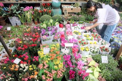 江苏苏州:市民选购花卉迎“双节”