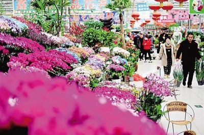 新春到 花卉市场生意红火