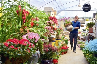 节前花卉市场销售火爆